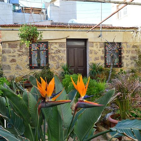 פמגוסטה Mystery Garden Guest House מראה חיצוני תמונה