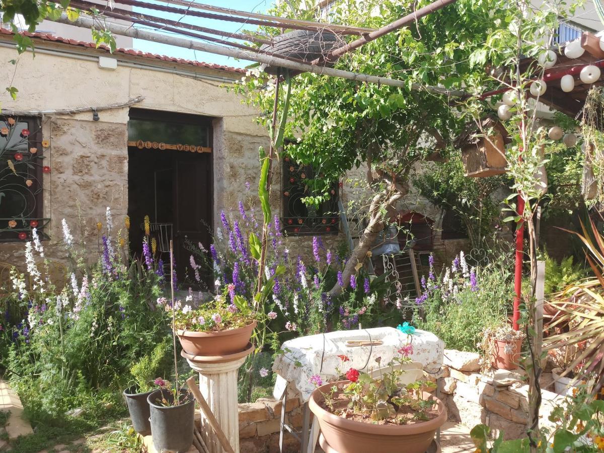 פמגוסטה Mystery Garden Guest House מראה חיצוני תמונה