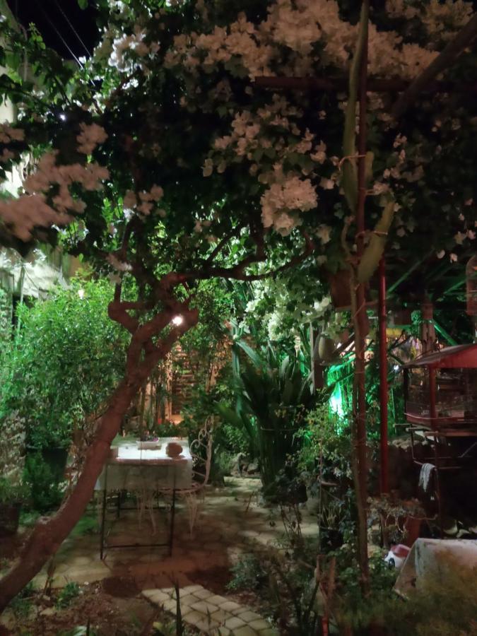 פמגוסטה Mystery Garden Guest House מראה חיצוני תמונה