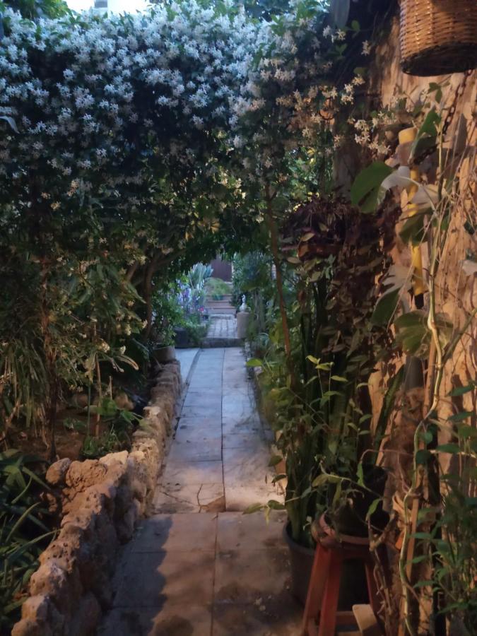 פמגוסטה Mystery Garden Guest House מראה חיצוני תמונה