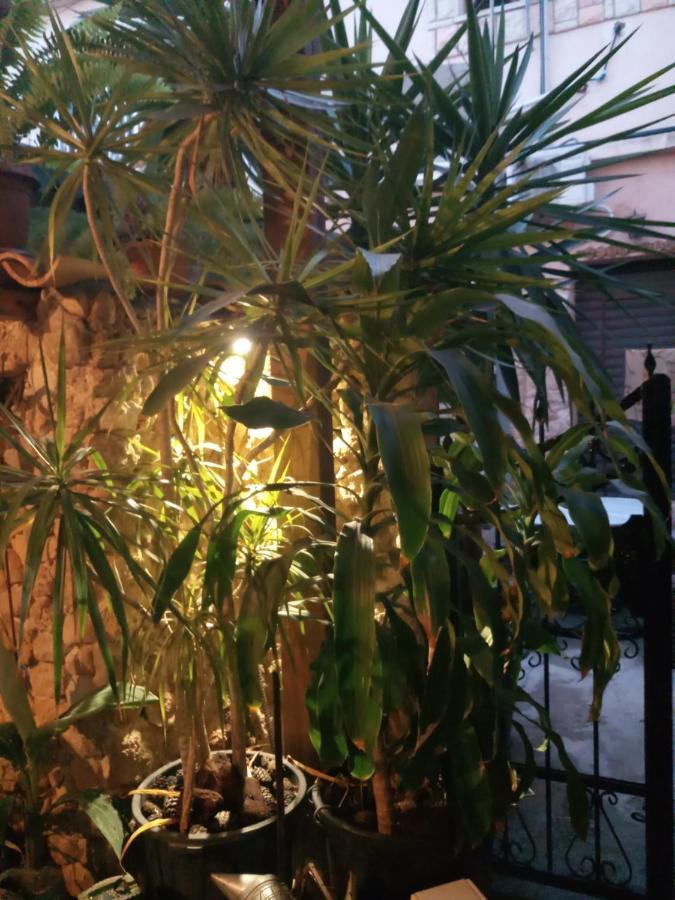 פמגוסטה Mystery Garden Guest House מראה חיצוני תמונה