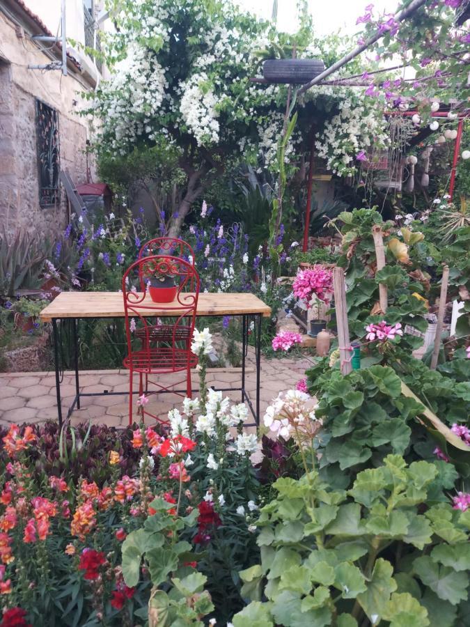 פמגוסטה Mystery Garden Guest House מראה חיצוני תמונה