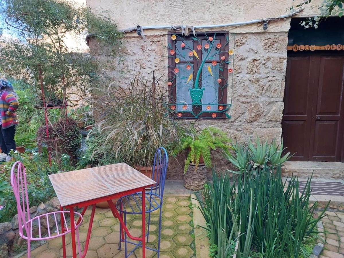 פמגוסטה Mystery Garden Guest House מראה חיצוני תמונה