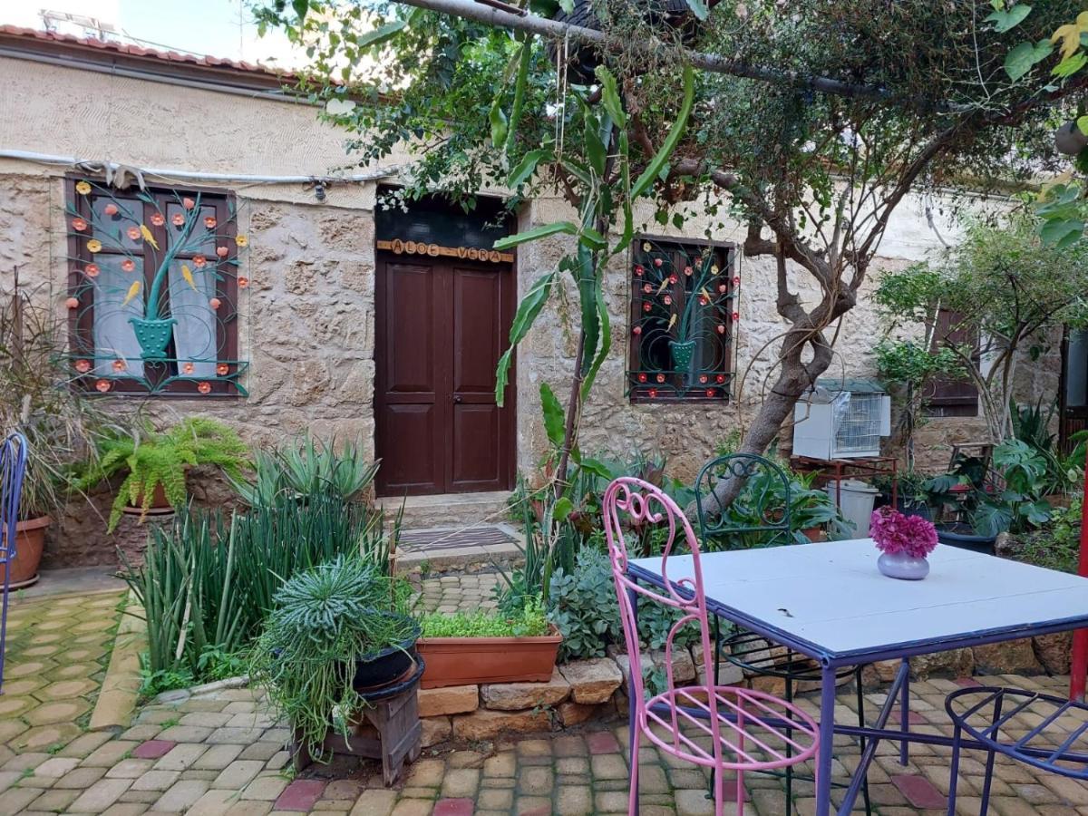פמגוסטה Mystery Garden Guest House מראה חיצוני תמונה