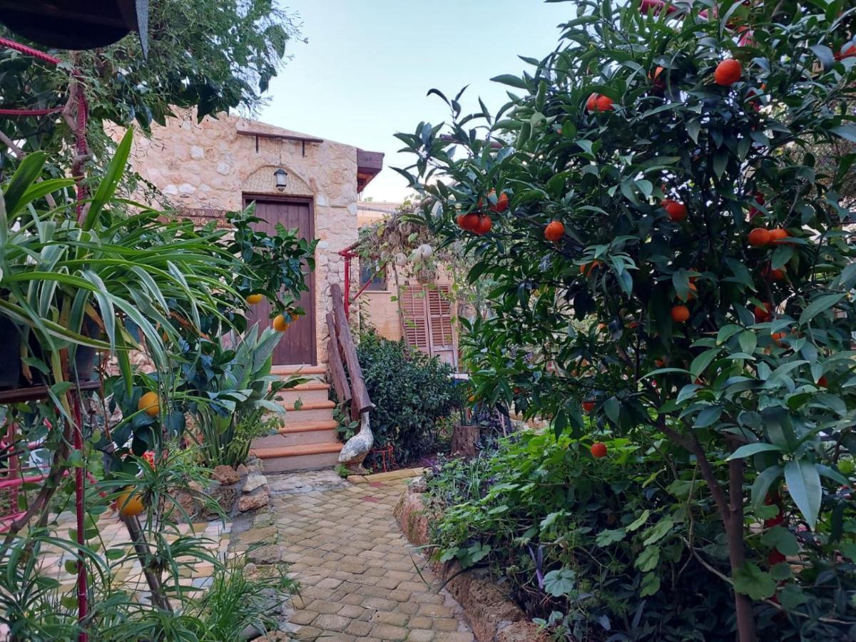 פמגוסטה Mystery Garden Guest House מראה חיצוני תמונה