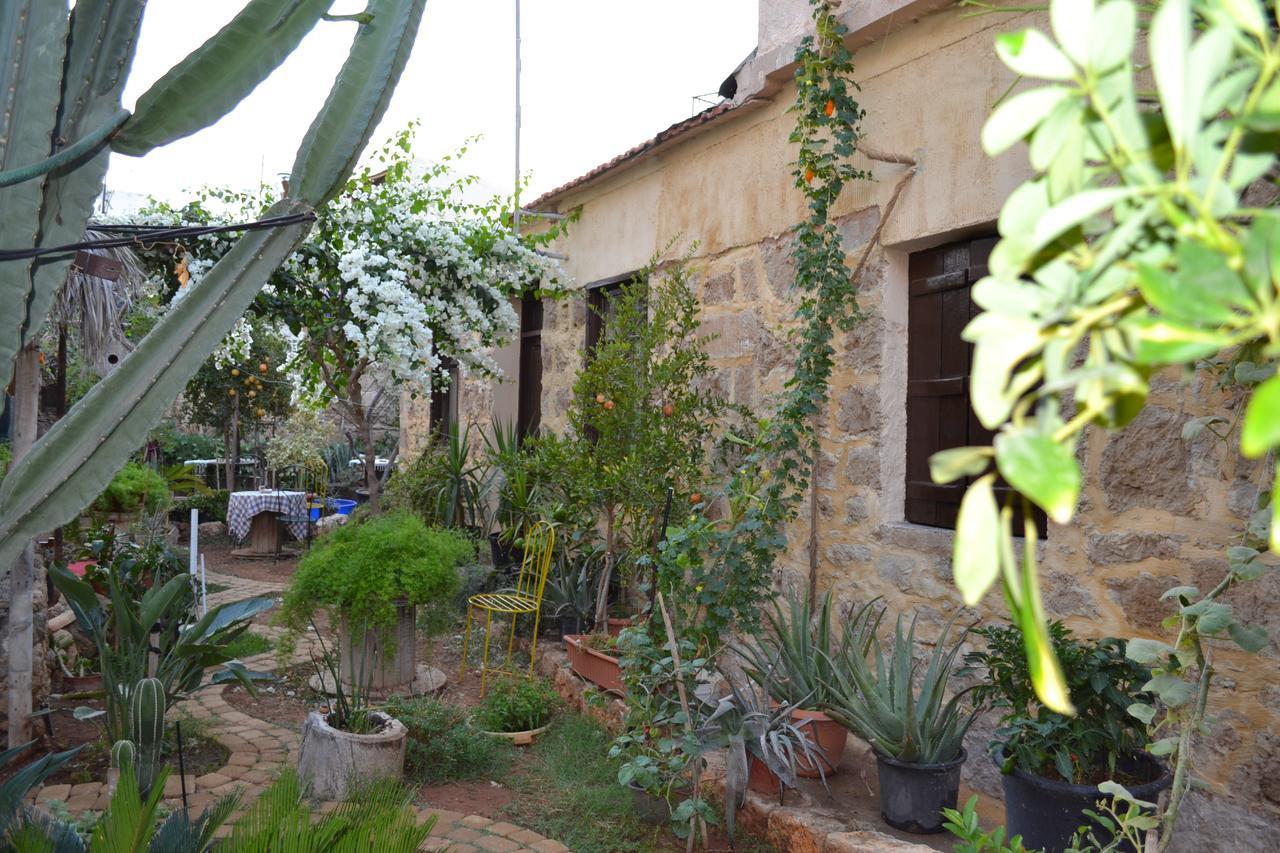 פמגוסטה Mystery Garden Guest House מראה חיצוני תמונה