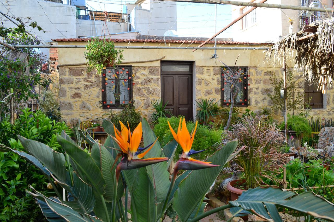 פמגוסטה Mystery Garden Guest House מראה חיצוני תמונה