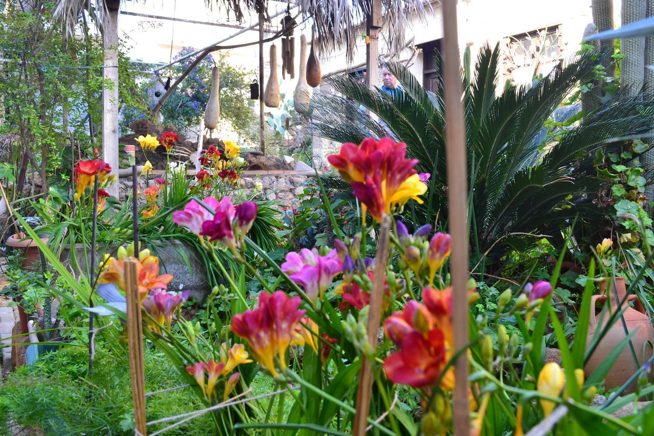 פמגוסטה Mystery Garden Guest House מראה חיצוני תמונה
