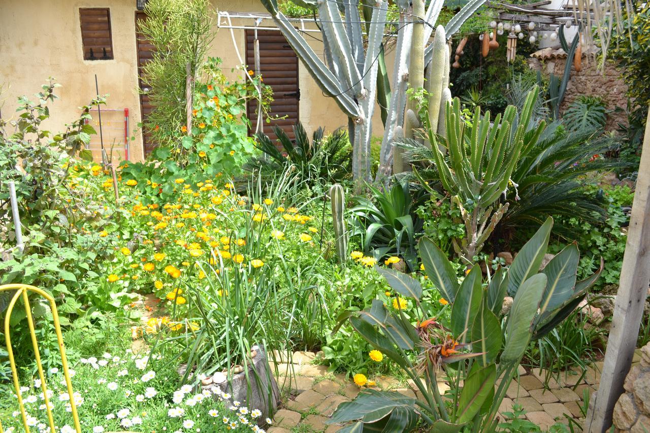 פמגוסטה Mystery Garden Guest House מראה חיצוני תמונה