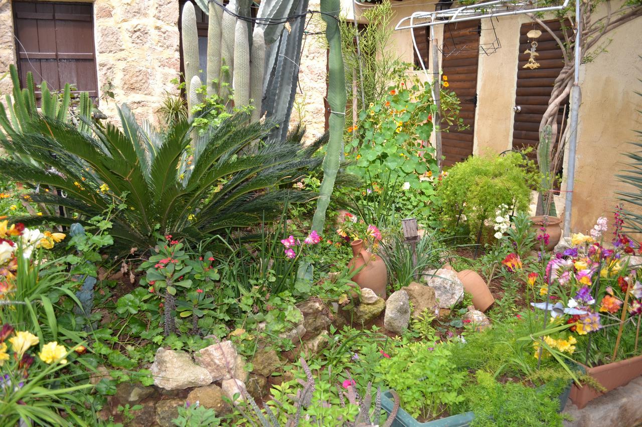 פמגוסטה Mystery Garden Guest House מראה חיצוני תמונה