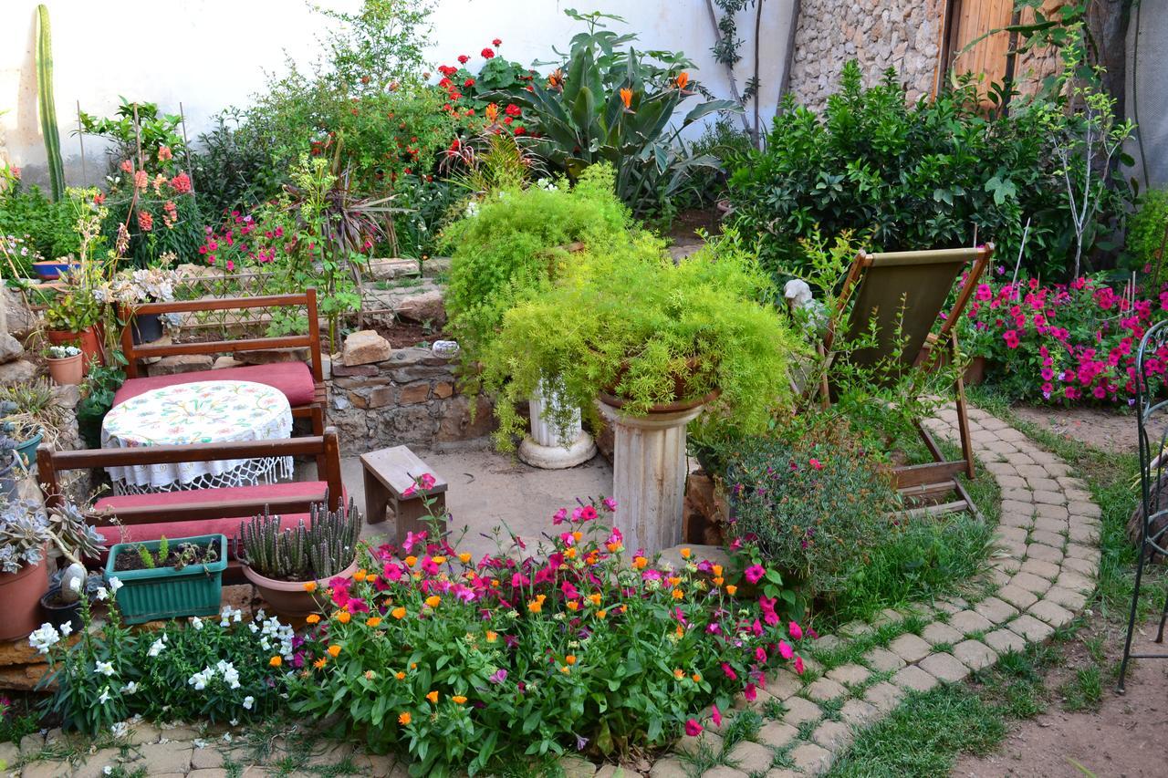 פמגוסטה Mystery Garden Guest House מראה חיצוני תמונה