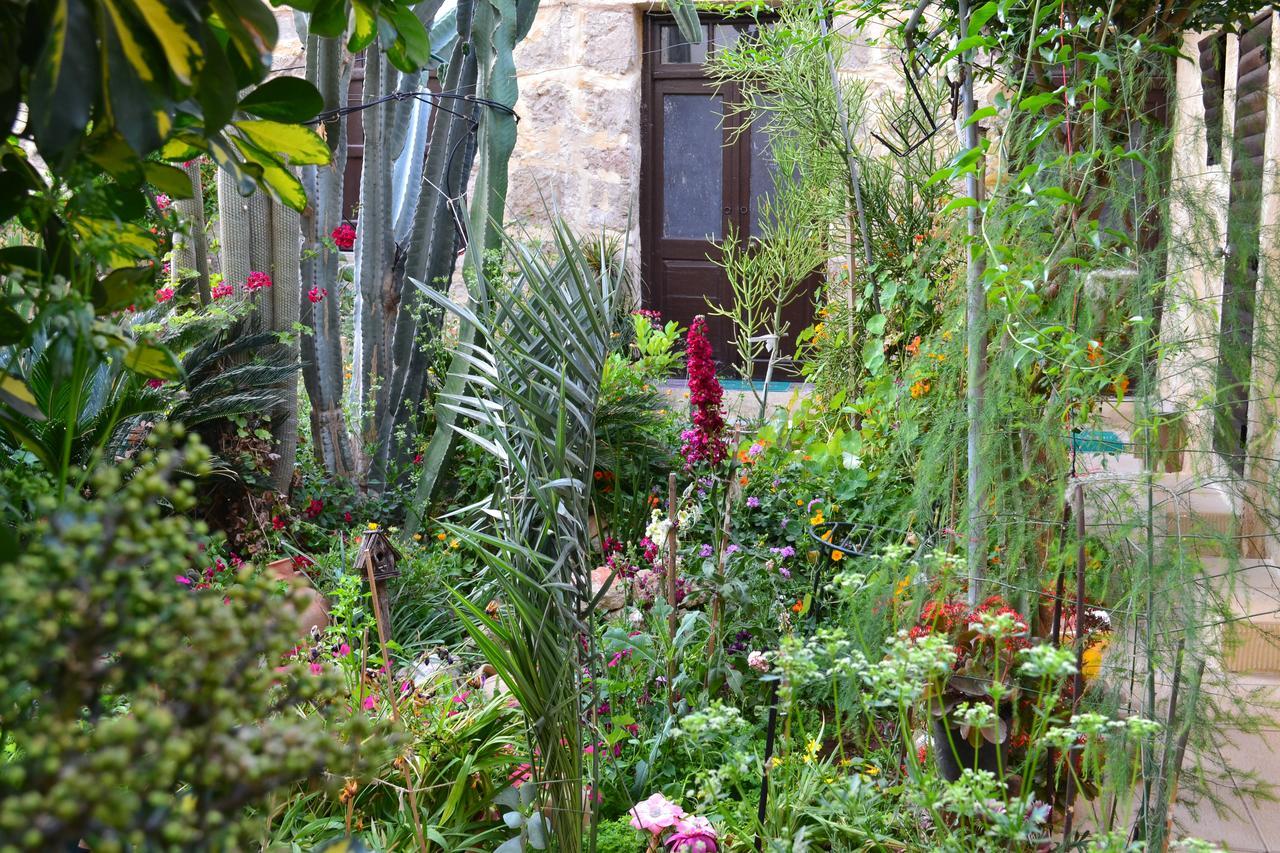 פמגוסטה Mystery Garden Guest House מראה חיצוני תמונה