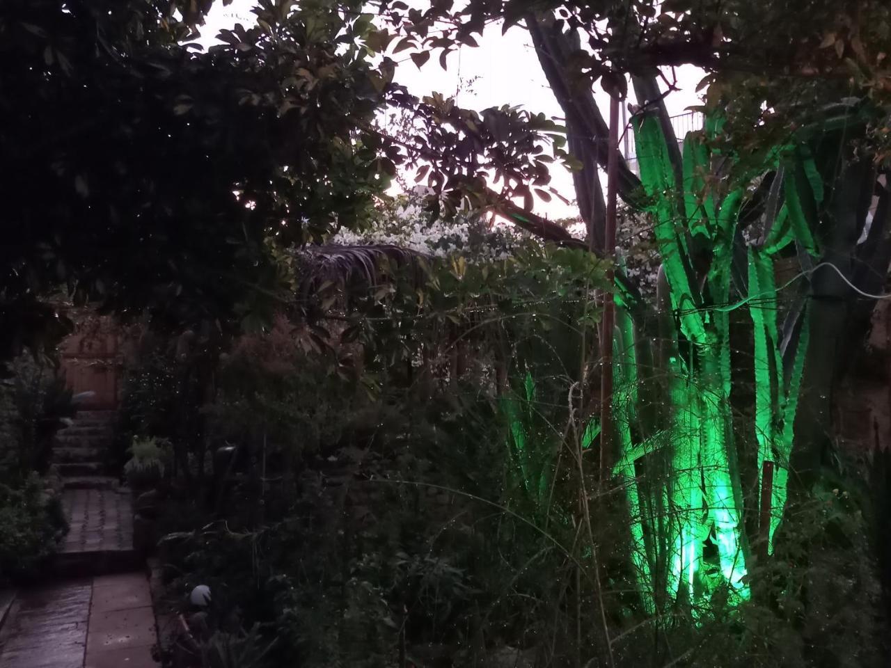 פמגוסטה Mystery Garden Guest House מראה חיצוני תמונה