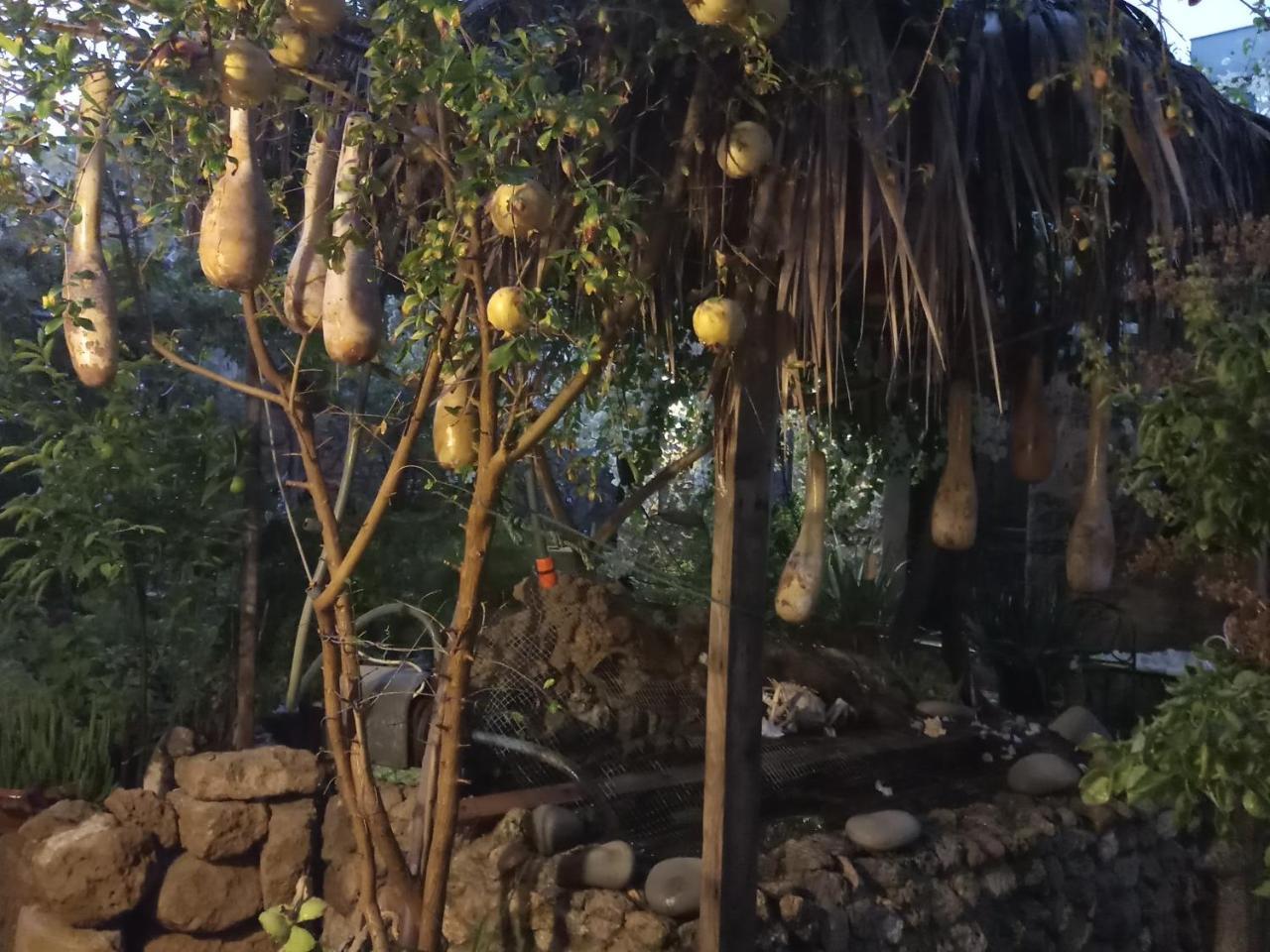 פמגוסטה Mystery Garden Guest House מראה חיצוני תמונה