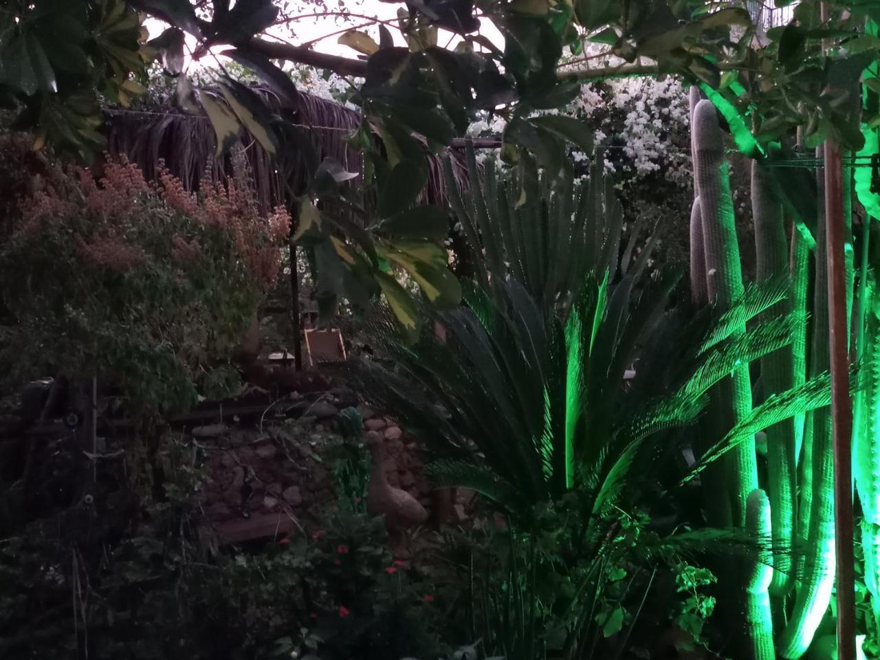 פמגוסטה Mystery Garden Guest House מראה חיצוני תמונה