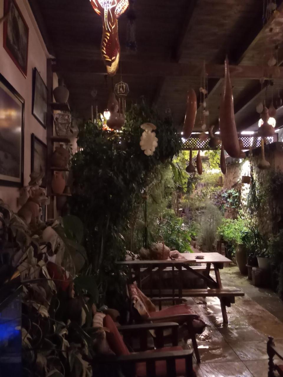 פמגוסטה Mystery Garden Guest House מראה חיצוני תמונה