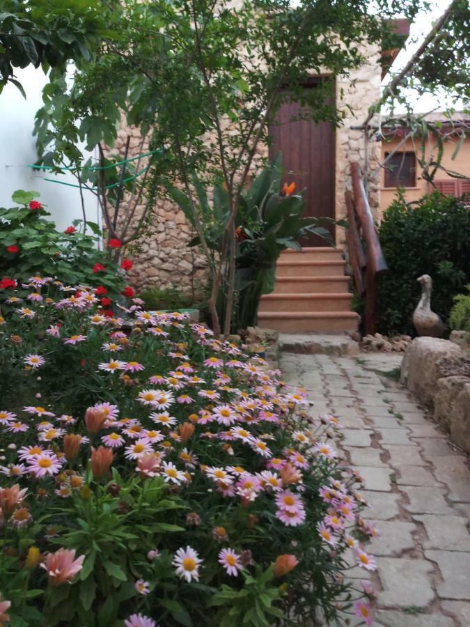 פמגוסטה Mystery Garden Guest House מראה חיצוני תמונה