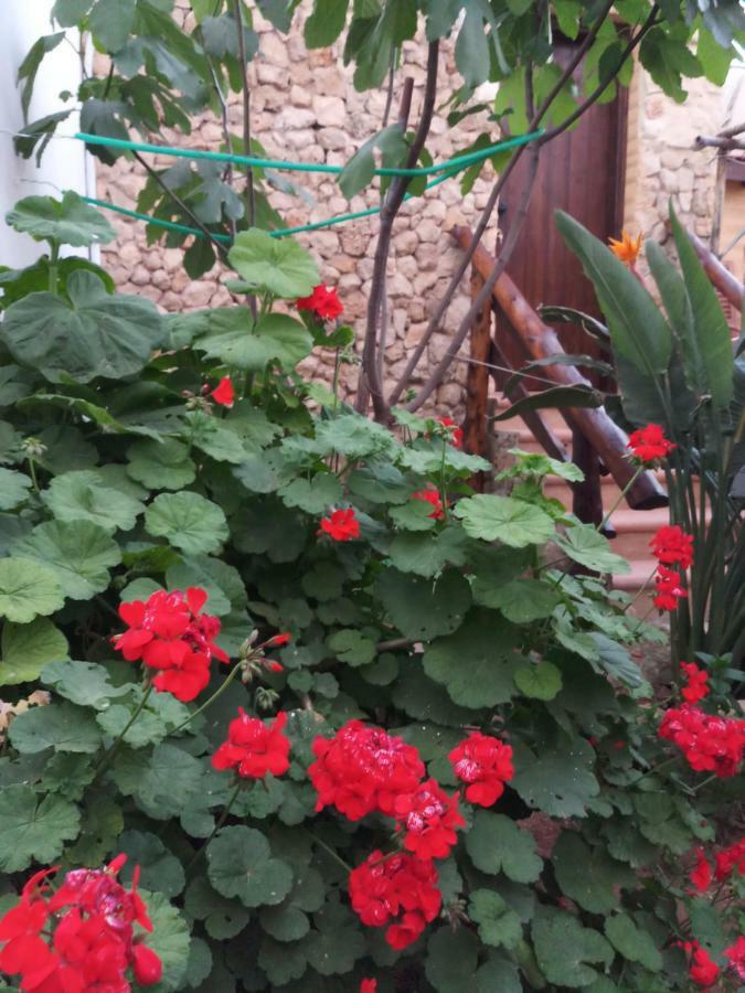 פמגוסטה Mystery Garden Guest House מראה חיצוני תמונה